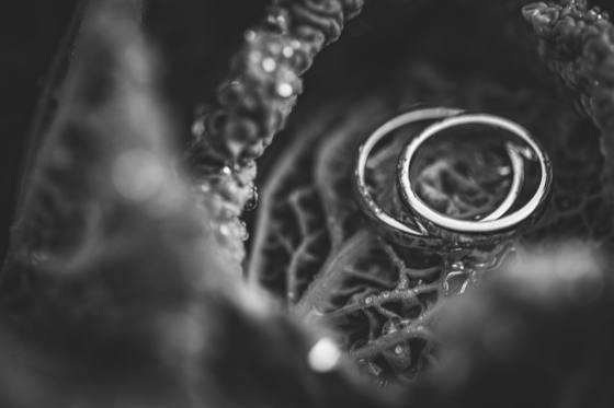 Anillos de boda